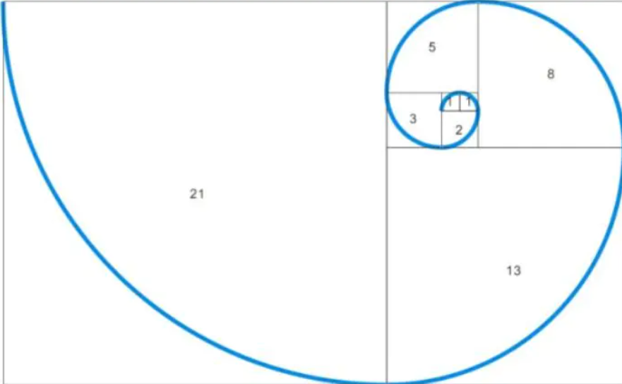 斐波那契螺旋线